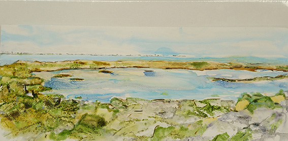 20180801_115215~2_red